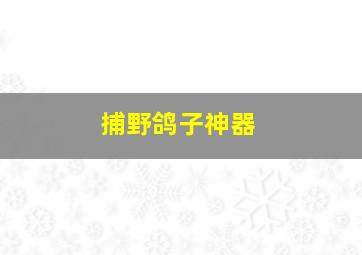 捕野鸽子神器