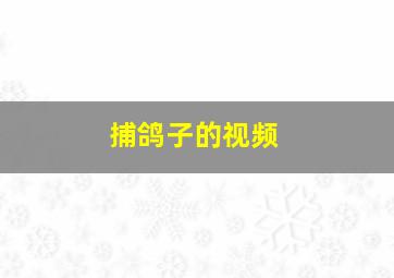 捕鸽子的视频