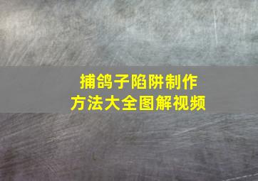 捕鸽子陷阱制作方法大全图解视频