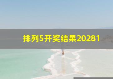 排列5开奖结果20281