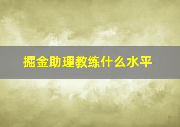 掘金助理教练什么水平