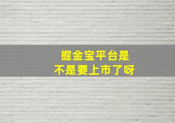 掘金宝平台是不是要上市了呀