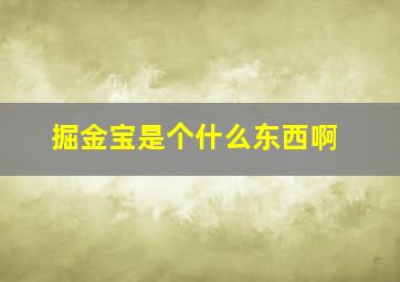 掘金宝是个什么东西啊