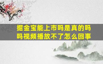 掘金宝能上市吗是真的吗吗视频播放不了怎么回事