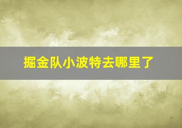 掘金队小波特去哪里了