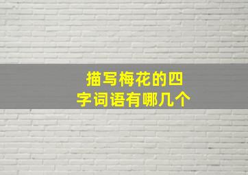 描写梅花的四字词语有哪几个