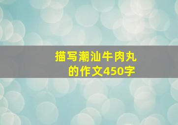 描写潮汕牛肉丸的作文450字