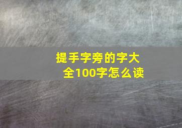 提手字旁的字大全100字怎么读