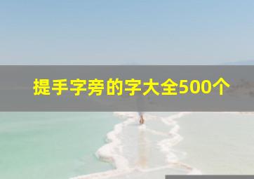 提手字旁的字大全500个