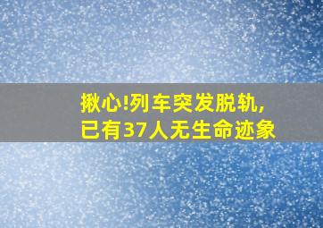 揪心!列车突发脱轨,已有37人无生命迹象