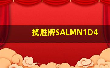 揽胜牌SALMN1D4