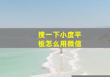 搜一下小度平板怎么用微信