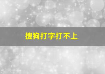 搜狗打字打不上