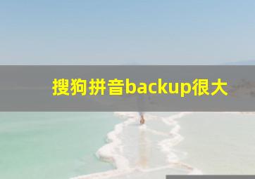 搜狗拼音backup很大