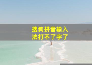 搜狗拼音输入法打不了字了