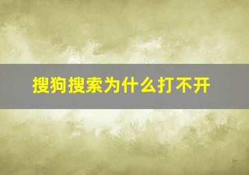 搜狗搜索为什么打不开