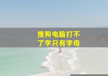 搜狗电脑打不了字只有字母