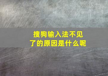 搜狗输入法不见了的原因是什么呢