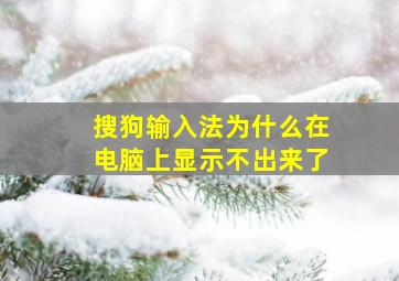 搜狗输入法为什么在电脑上显示不出来了