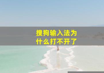 搜狗输入法为什么打不开了