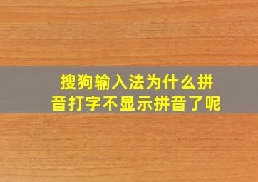 搜狗输入法为什么拼音打字不显示拼音了呢