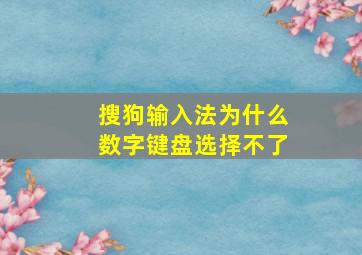 搜狗输入法为什么数字键盘选择不了