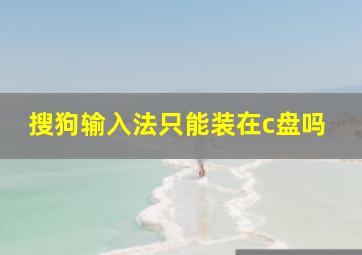 搜狗输入法只能装在c盘吗