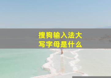 搜狗输入法大写字母是什么