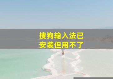 搜狗输入法已安装但用不了