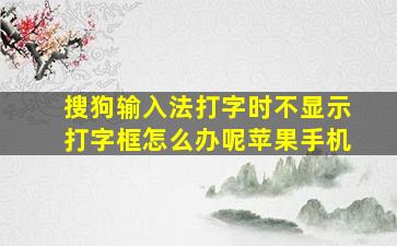 搜狗输入法打字时不显示打字框怎么办呢苹果手机