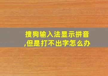 搜狗输入法显示拼音,但是打不出字怎么办