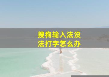 搜狗输入法没法打字怎么办