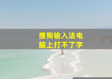 搜狗输入法电脑上打不了字