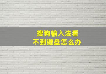 搜狗输入法看不到键盘怎么办