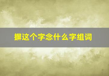 摒这个字念什么字组词