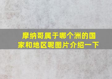 摩纳哥属于哪个洲的国家和地区呢图片介绍一下