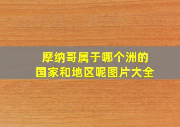 摩纳哥属于哪个洲的国家和地区呢图片大全