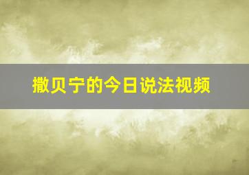 撒贝宁的今日说法视频