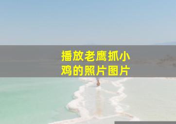 播放老鹰抓小鸡的照片图片