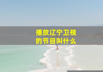 播放辽宁卫视的节目叫什么