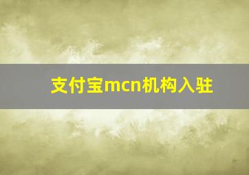 支付宝mcn机构入驻