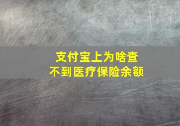 支付宝上为啥查不到医疗保险余额