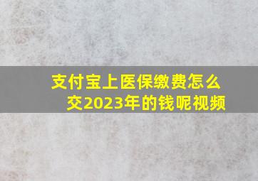 支付宝上医保缴费怎么交2023年的钱呢视频