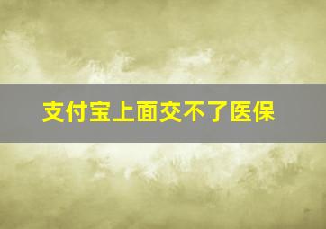 支付宝上面交不了医保