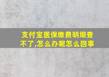 支付宝医保缴费明细查不了,怎么办呢怎么回事