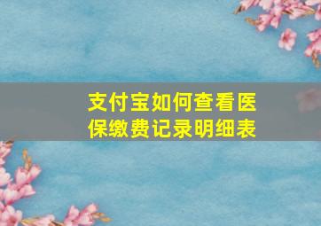 支付宝如何查看医保缴费记录明细表