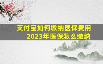 支付宝如何缴纳医保费用2023年医保怎么缴纳