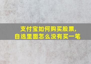 支付宝如何购买股票,自选里面怎么没有买一笔