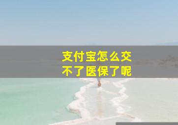 支付宝怎么交不了医保了呢