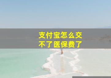 支付宝怎么交不了医保费了